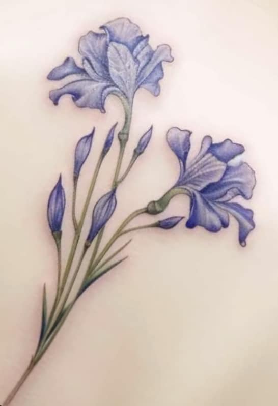 lily tattoo design