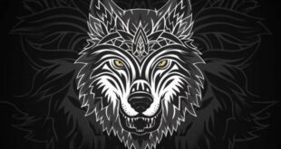 Compelling-Wolf-Tattoos-for-Everyone-A-Comprehensive-Guide